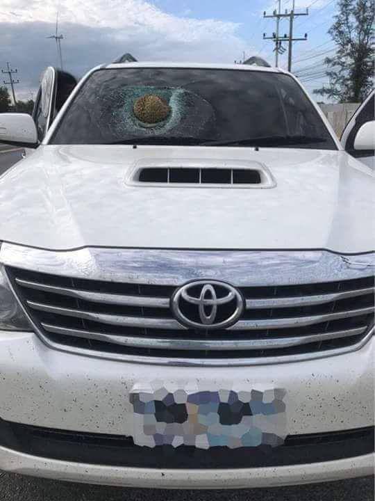 momen apes kaca mobil tertimpa buah (reddit.com/user/SirGuldog)