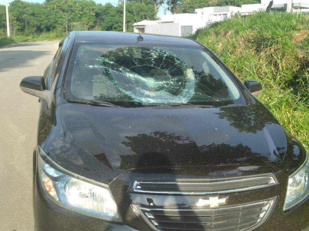momen apes kaca mobil tertimpa buah (reddit.com/user/TailsGamer3733)