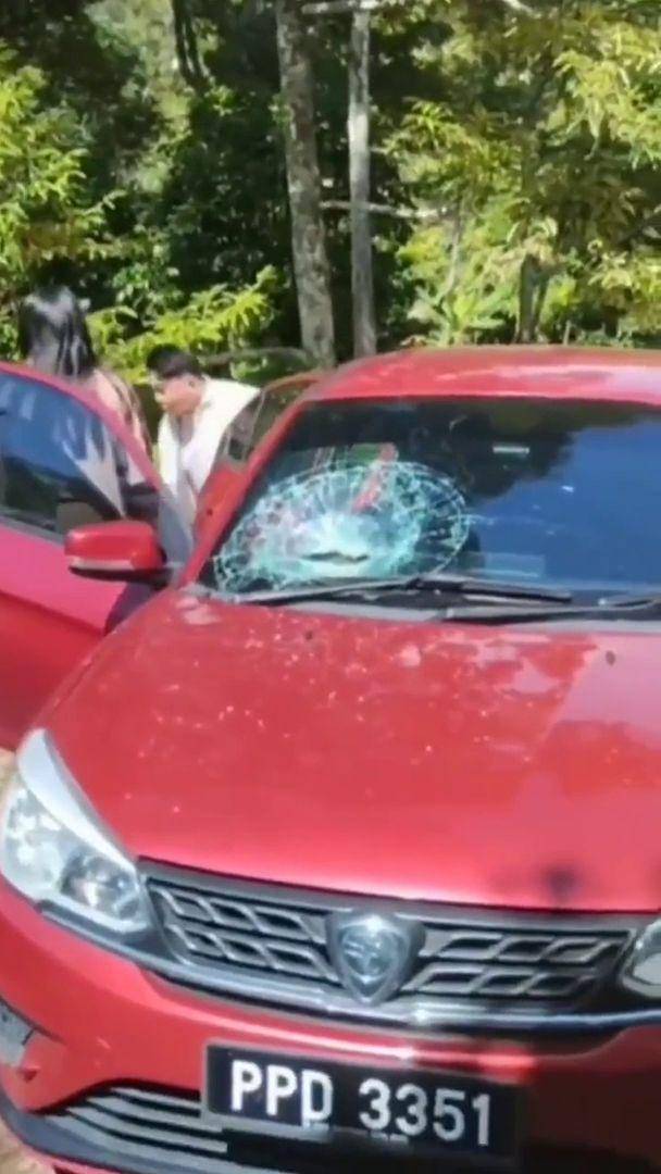 momen apes kaca mobil tertimpa buah (reddit.com/user/sempakrica)