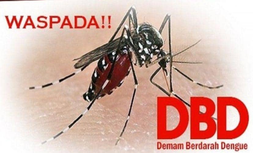 Tragisnya Demam Berdarah, 3 Anak Tewas di Banjarmasin