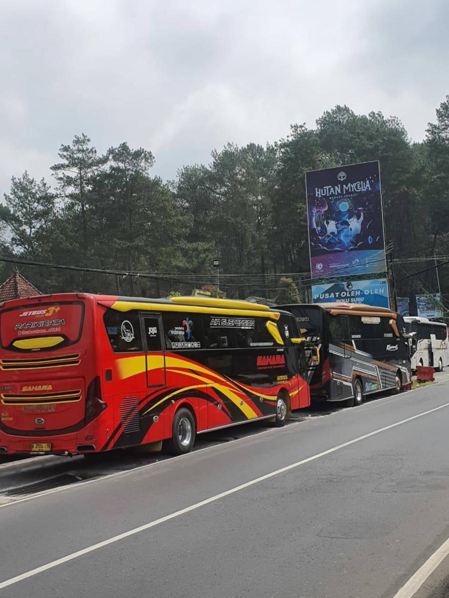 Ramai-ramai Batalkan Wisata ke Lembang Usai Kecelakaan Maut Subang