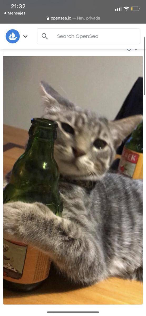 potret kucing pura-pura minum bir (reddit.com/user/elbenjaz)