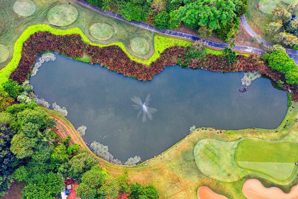 6 Tips Dekorasi Membuat Kolam Ikan di Samping Taman Rumah yang Memukau