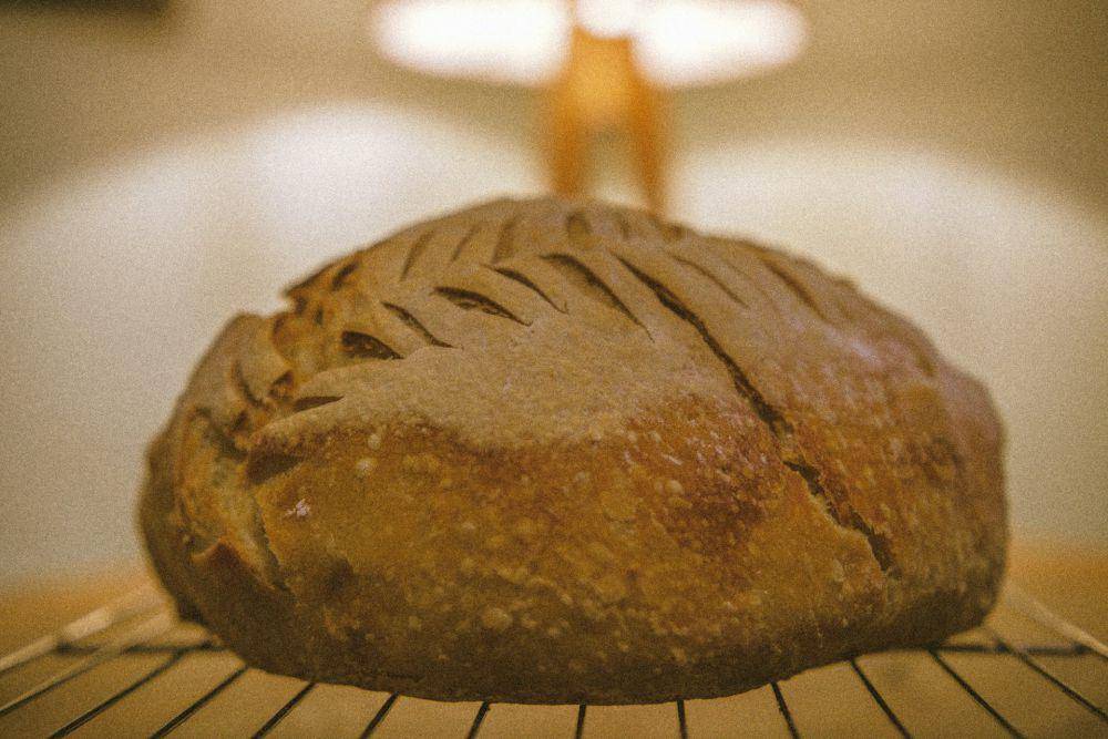 ilustrasi roti bun (unsplash.com/Gideon Karanja)