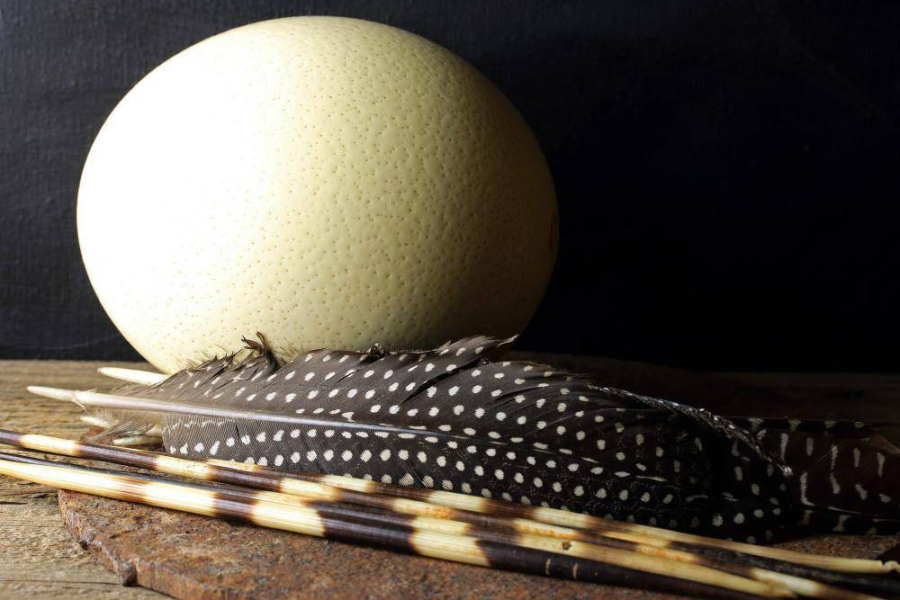 telur burung unta (pixabay.com/Lynn Greyling)