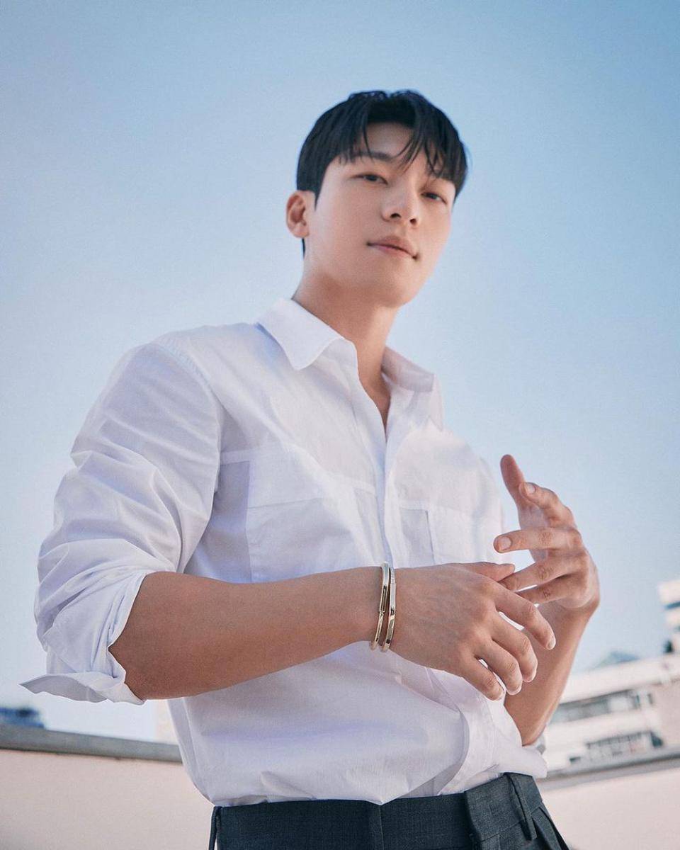 Wi Ha Joon (instagram.com/wi__wi__wi)