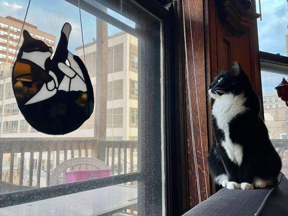 potret kaca patri tema kucing (reddit.com/user/V_LochNessLobster_V)