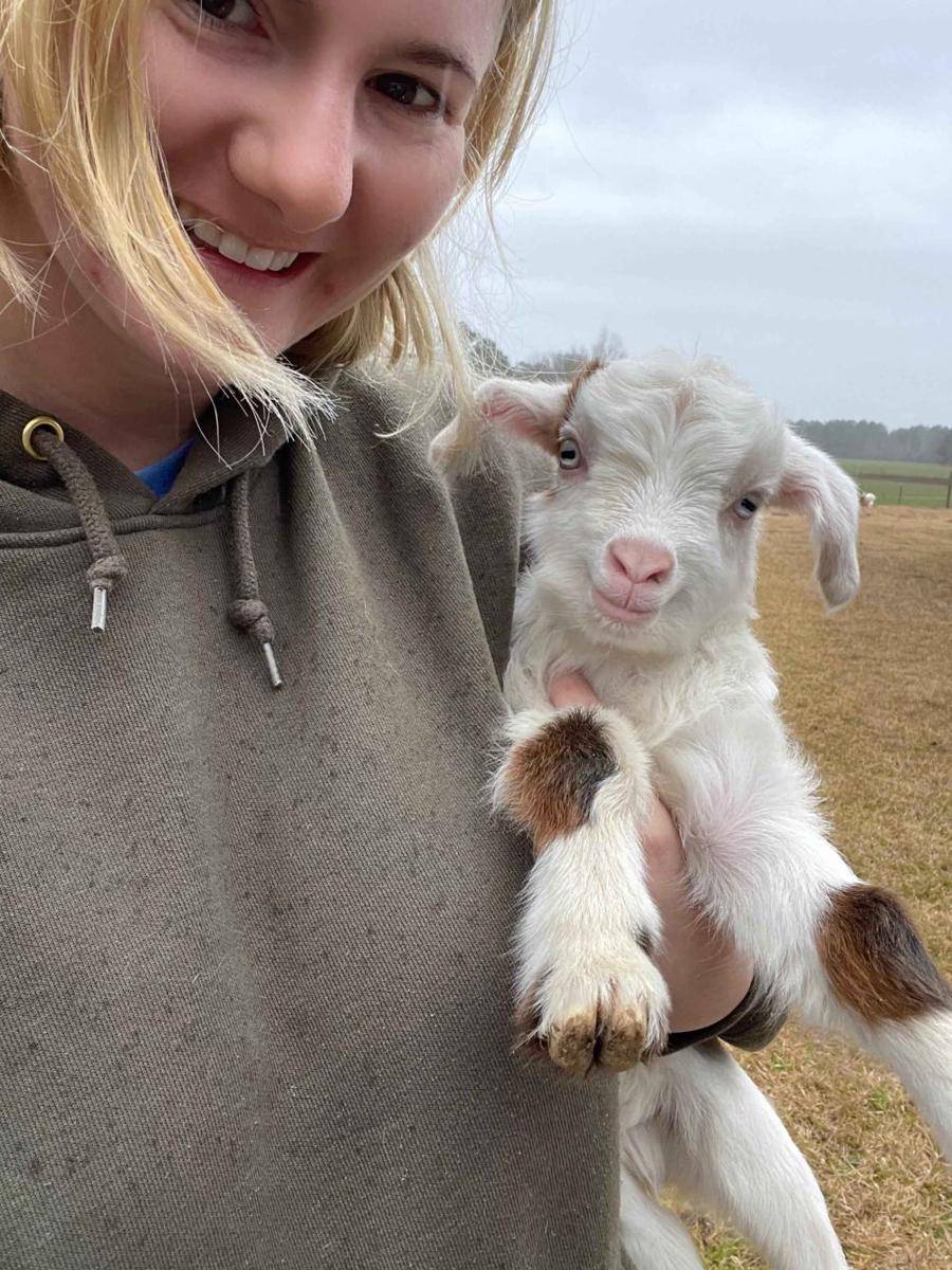 potret kambing senyum (reddit.com/user/[deleted])