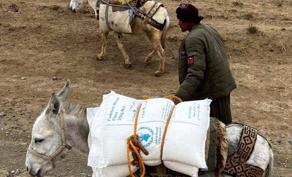 WFP Desak Jaminan Keamanan bagi Konvoi Bantuan Kemanusiaan