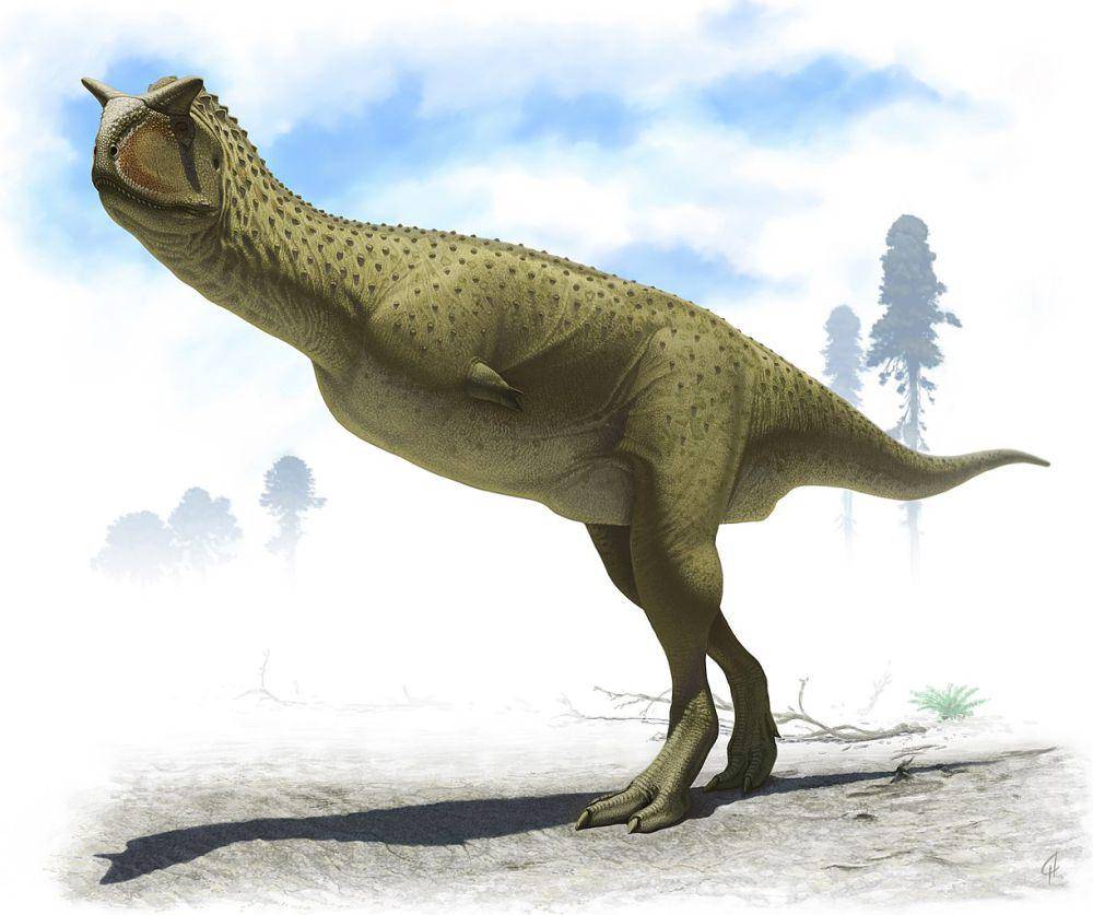 Ilustrasi Carnotaurus (commons.wikimedia.org/Andrey Atuchin)