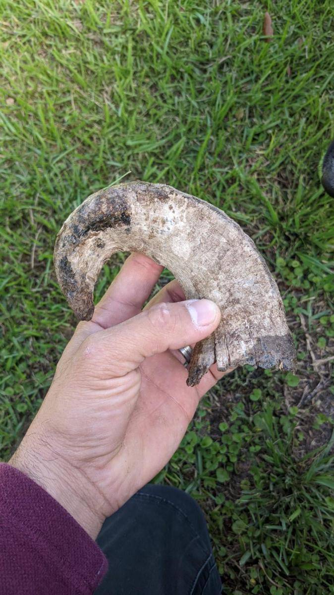 potret barang unik ditemukan di pekarangan rumah (reddit.com/user/mvanslee)