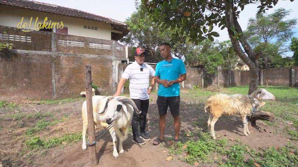Irfan Hakim datangi pedagang kambing SPG (youtube.com/deHakims channel)
