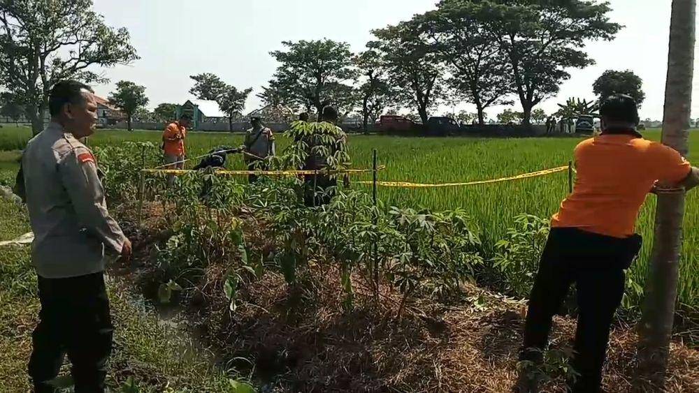 Seorang kakek pencari rumput di Desa Klitik, Kecamatan Wonoasri, Kabupaten Madiun, ditemukan tewas tersengat listrik jebakan tikus. IDN Times/ Istimewa