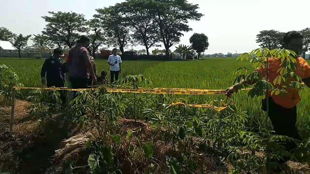 Seorang kakek pencari rumput di Desa Klitik, Kecamatan Wonoasri, Kabupaten Madiun, ditemukan tewas tersengat listrik jebakan tikus. IDN Times/ Istimewa