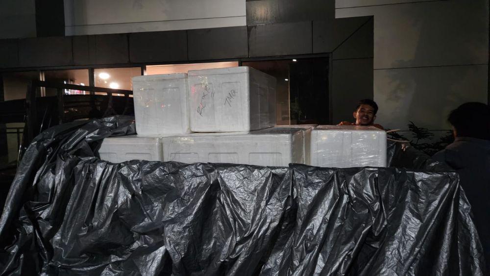 Begini Pola Penyelundupan Benih Lobster ke Banyuasin Sumsel