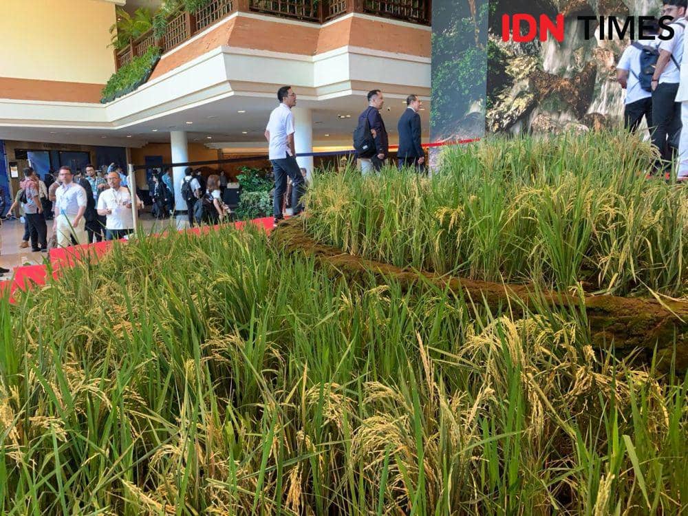 Ilustrasi sistem pertanian Subak Bali. (IDN Times/Rohmah Mustaurida)