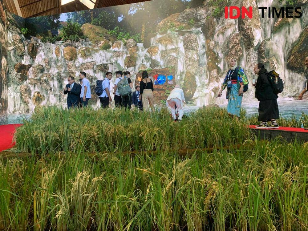 Budayawan Kritisi Pembangunan Situs Budaya Subak di Bali