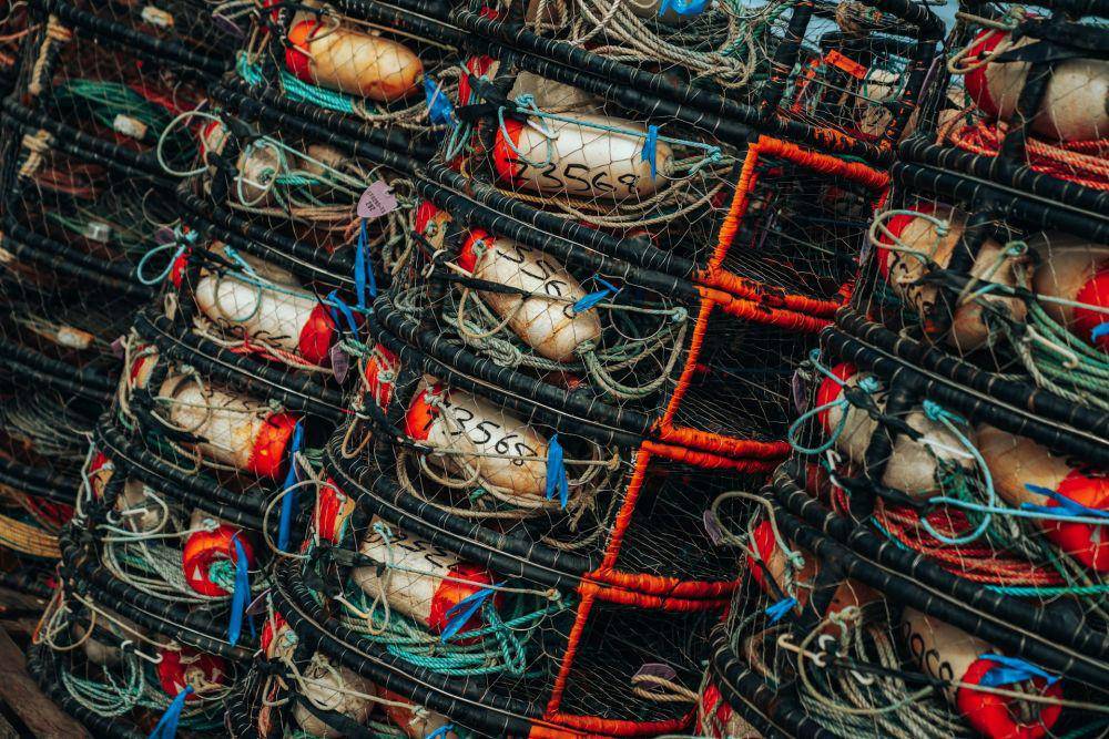 ilustrasi perangkap kepiting (unsplash.com/Meritt Thomas)