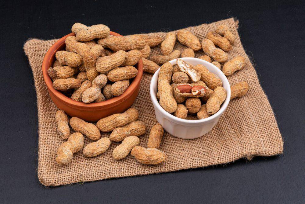 ilustrasi kacang tanah (freepik.com/8photo)