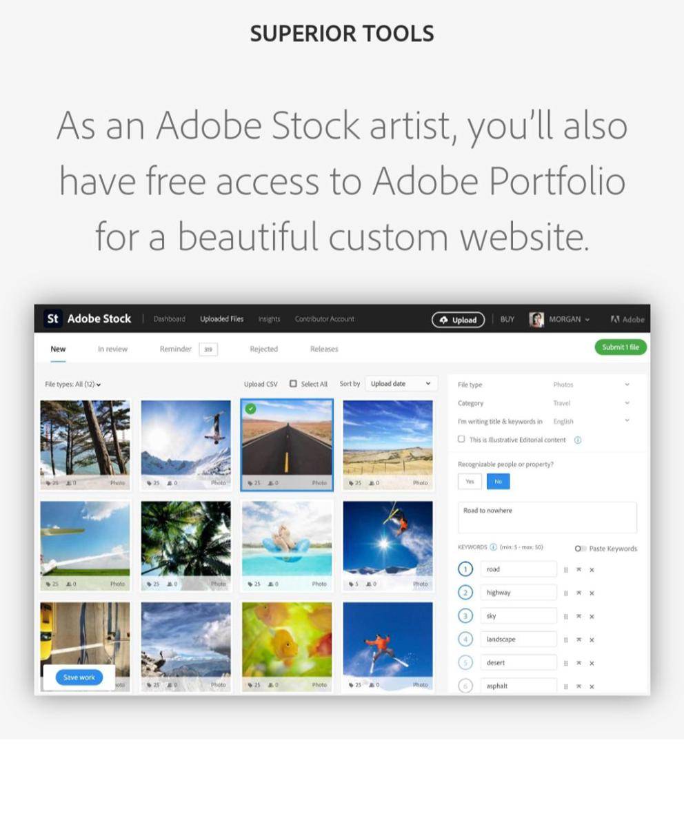 Tampilan awal Adobe Stock (dok. contributor.stock.adobe.com/Adobe Stock)