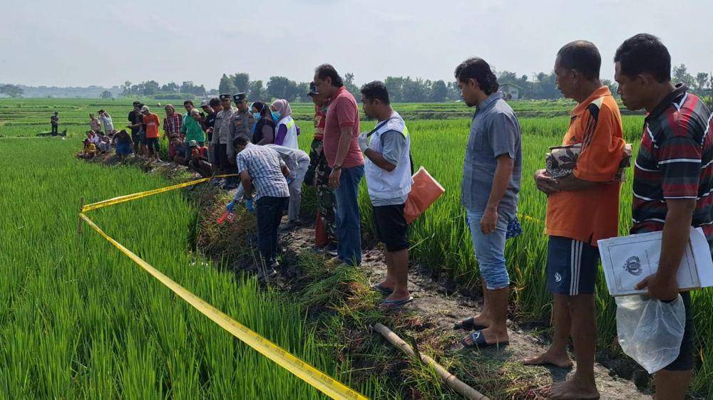Seorang petani ditemukan tewas tersengat jebakan tikus listrik di area persawahan Desa Sumberbening, Kecamatan Bringin. IDN Times/ Riyanto.