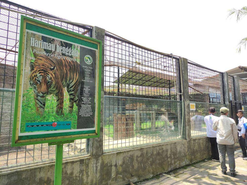 potret Taman Satwa Cikembulan (Google Maps/Ahmad Sarip)