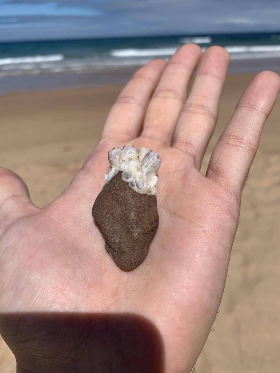 potret batu unik di pantai (reddit.com/user/Grvs78)