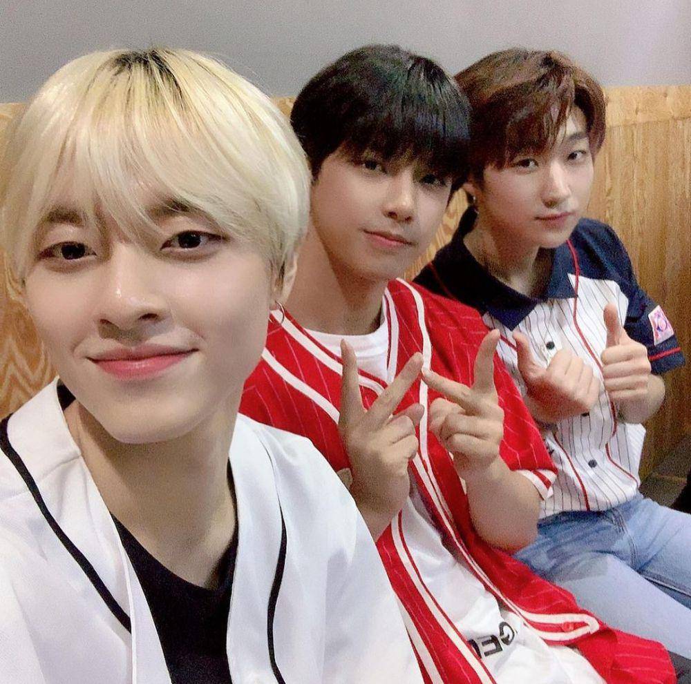 TREI (instagram.com/trei_official)