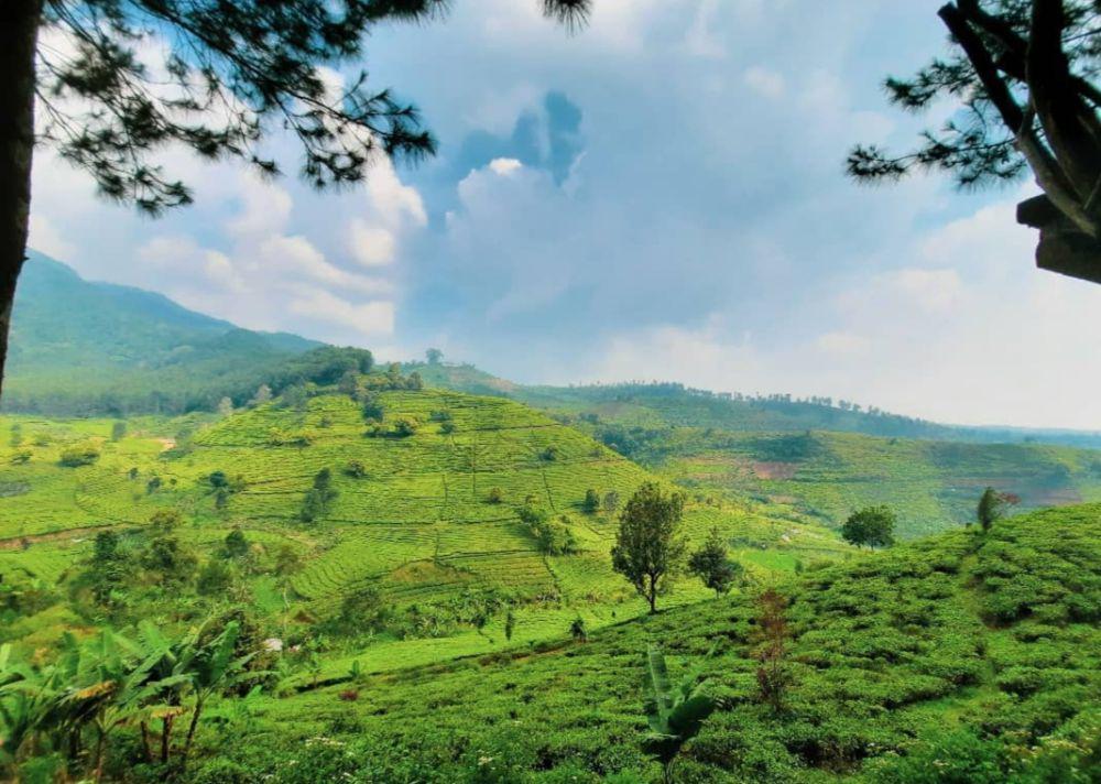 Bukit Senyum Bandung: Lokasi, Harga Tiket, dan Aktivitas Seru