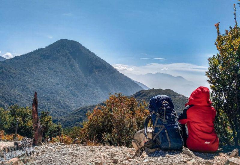 Jalur Pendakian Gunung Papandayan Jawa Barat, Cocok untuk Pemula!