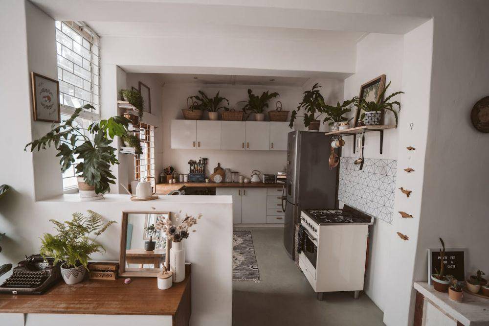 Inspirasi Dapur Sesuai MBTI (pexels.com/Taryn Elliott)