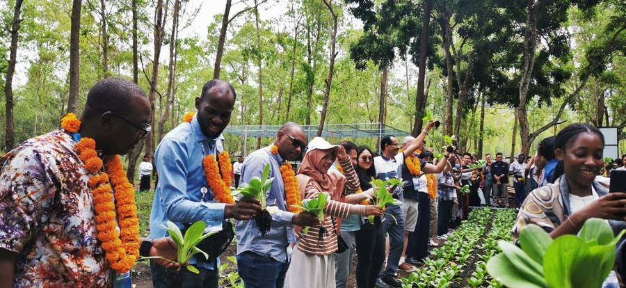 Para peserta field trip World Water Forum ke-10, memanen pakcoi, sayuran sejenis sawi keluarga Brassicaceae, yang ditanam dengan sistem pertanian menggunakan air yang terbatas di lerang Gunung Batur, di salah satu tujuan field trip World Water Forum ke-10, Sabtu (25/5/2024). (Dok. Kementerian PUPR)