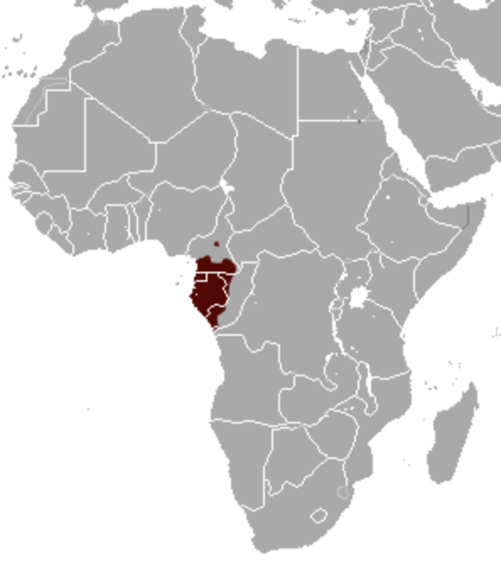 Wilayah penyebaran gabon talapoin (commons.m.wikimedia.org/Chermundy)