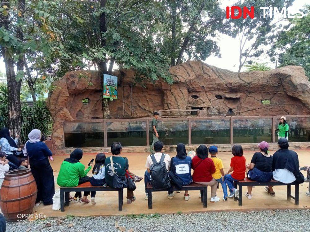 Sejumlah pengunjung menikmati suguhan atraksi berang-berang di Solo Safari. (IDN Times/Fariz Fardianto)