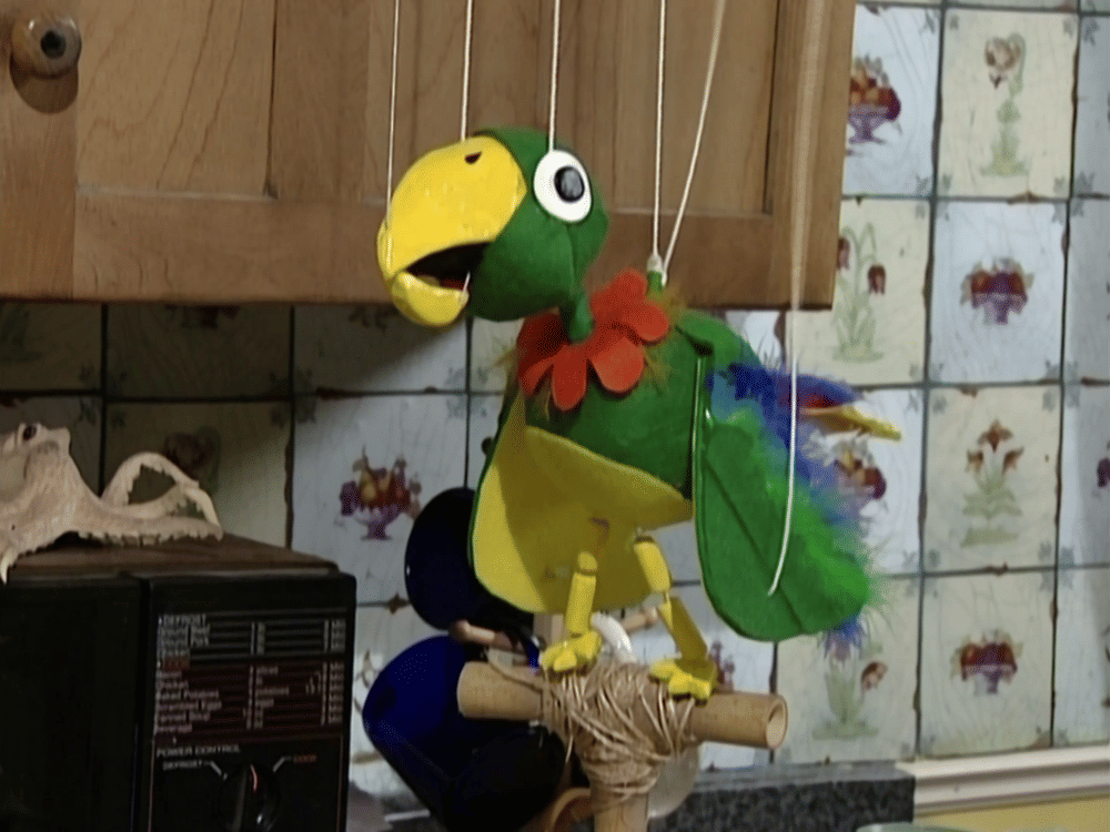 Nickelodeon/SpongeBob SquarePants