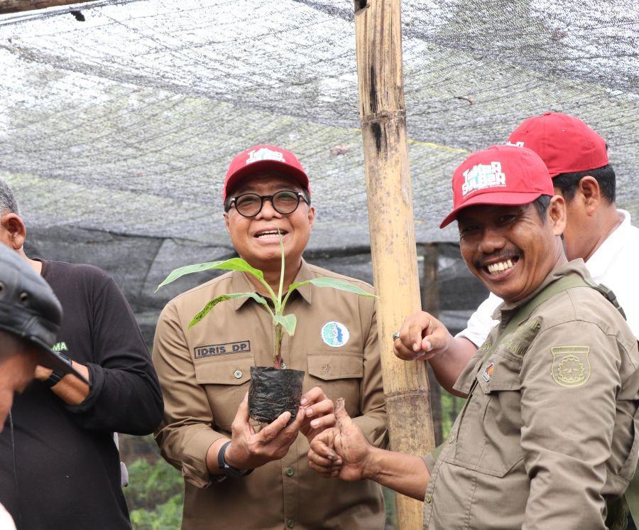 Dari Sulsel, Bahtiar Bawa Program Pisang Cavendish ke Sulbar