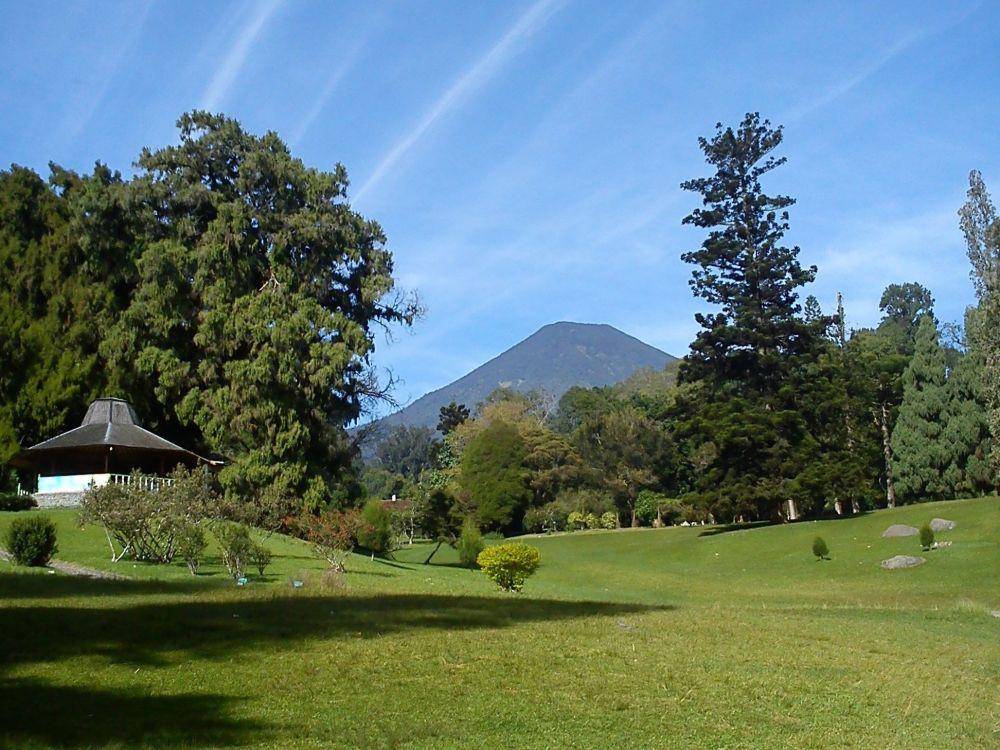 view Gunung Pangrango dari Kebun Raya Cibodas (commons.wikimedia.org/Eonk_e)