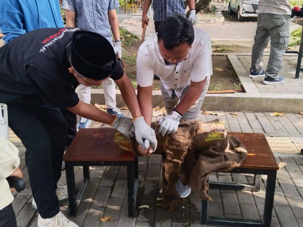 Fakultas Peternakan UGM mengadakan pelatihan juru sembelih halal (Juleha). (Dok. Fakultas Peternakan UGM)