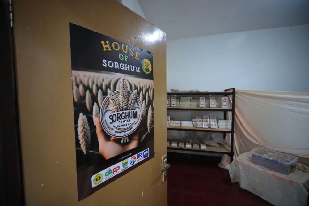 Sein Farm di Bandung Ditunjuk Jadi Pusat Pengembangan Sorgum