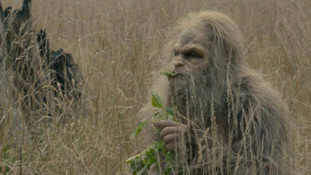 cuplikan film Sasquatch Sunset (dok. Square Peg/Sasquatch Sunset)