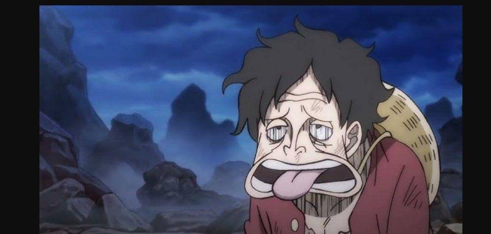 (Dok. Toei Animation/One Piece)