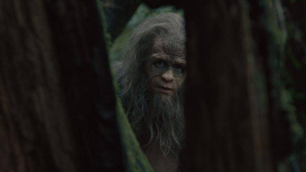 cuplikan film Sasquatch Sunset (dok. Square Peg/Sasquatch Sunset)