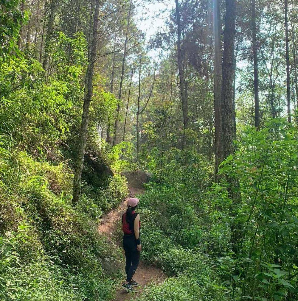 Jalur Gunung Andong (instagram.com/febriiysh)