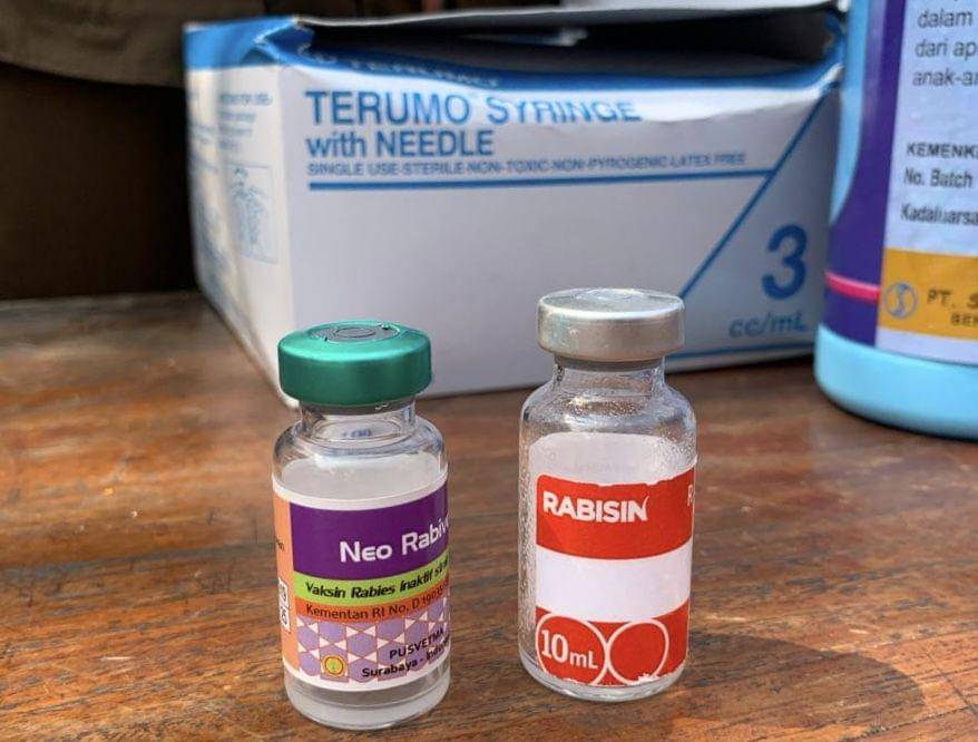 Vaksinasi hewan penular rabies di Bandar Lampung. (IDN Times/Rohmah Mustaurida)