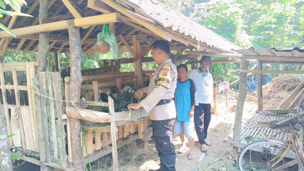Jelang Idul Adha Warga Bantul Diminta Waspadai Pencuri Ternak