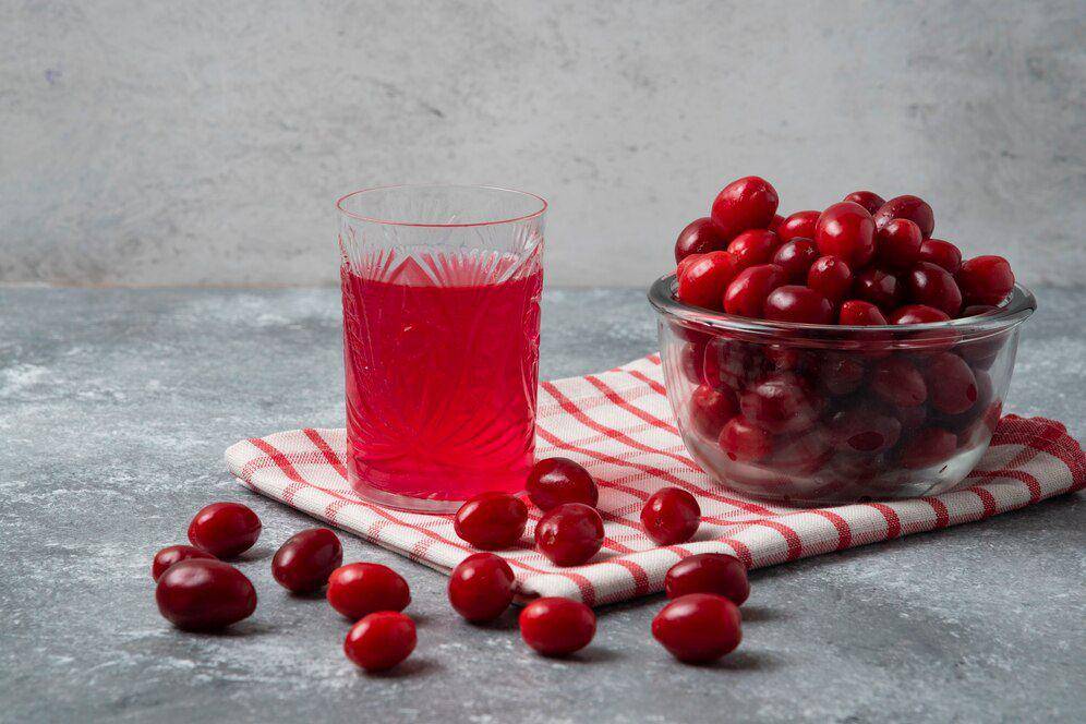 Ilustrasi jus cranberry. (Freepik.com/@azerbaijan_stockers)