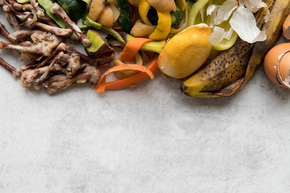 Food Waste Bali Menggunung, Sisa MBG dan Pariwisata Jadi Sorotan