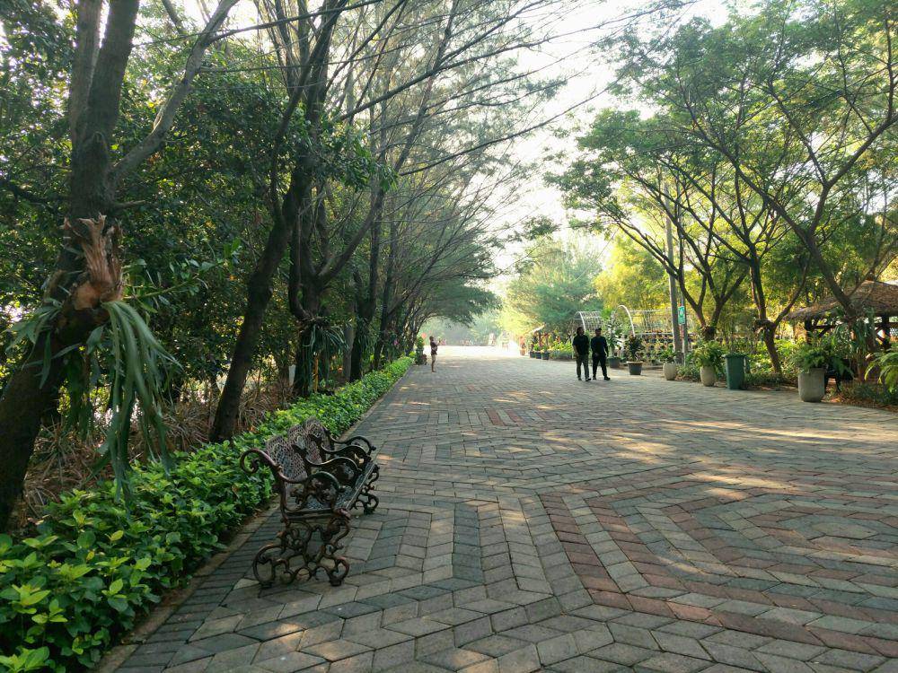 Suasana pagi di area pintu masuk Mangrove Surabaya (dok. pribadi/sovia rizki)
