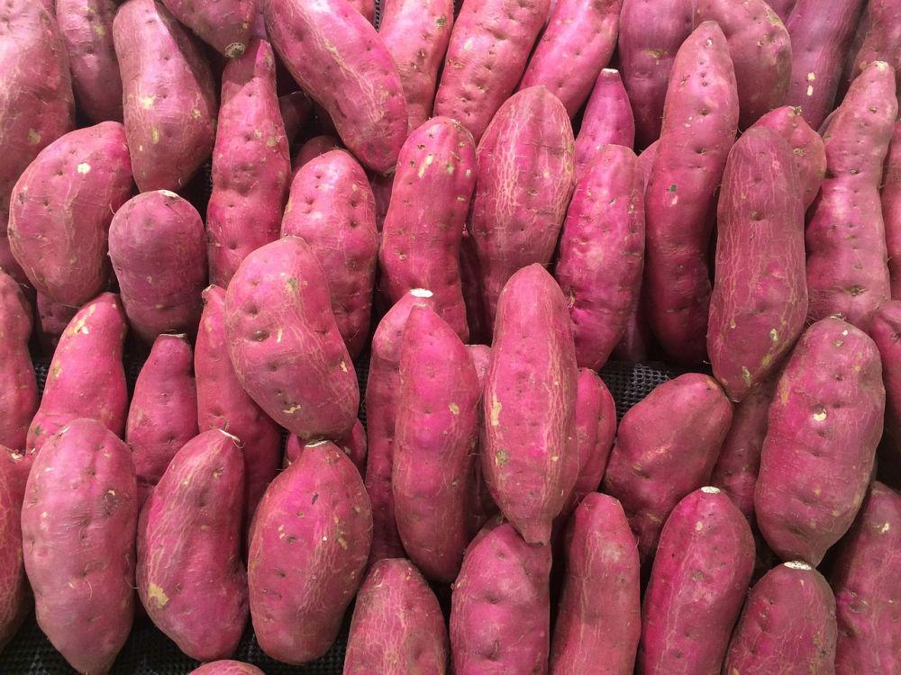 5 Resep Camilan dari Ubi Ungu untuk Menemani Waktu Santaimu