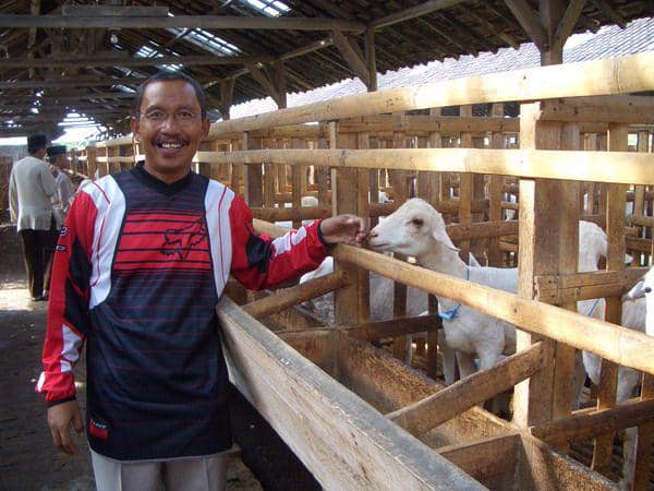 Peternak kambing (flickr.com/Amri Knowledge Enterpreneur-24)